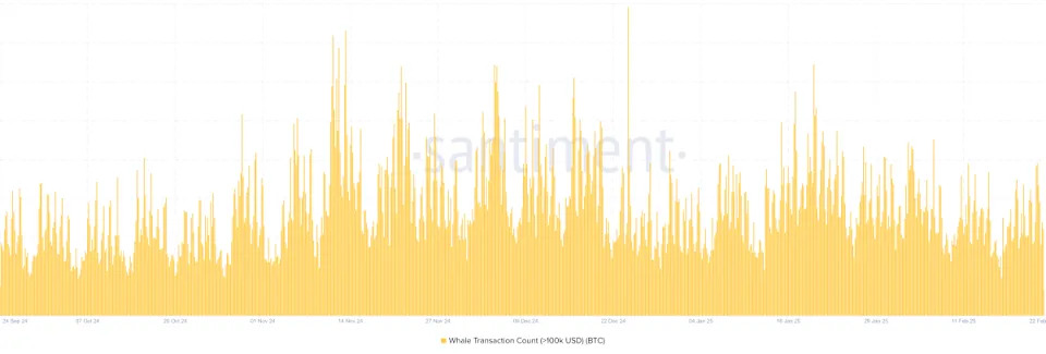 MicroStrategy hits 500K Bitcoin, but big buyers hold back