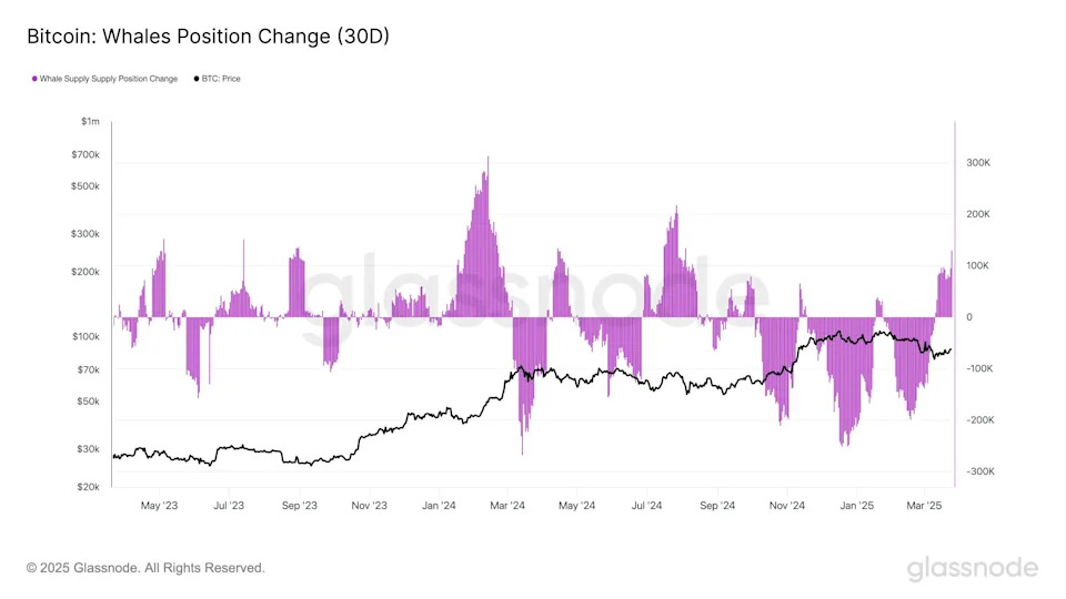 Bitcoin Whales Bought $11B of BTC in Two Weeks as Confidence Grew, Glassnode Says