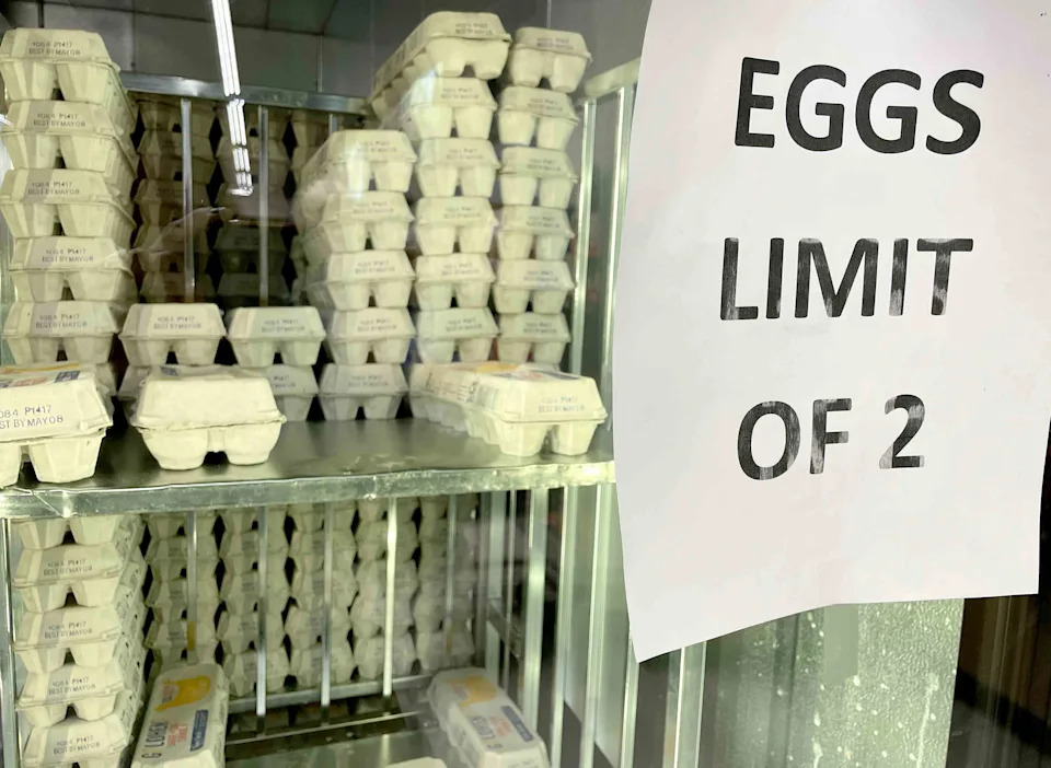 Cal-Maine Stock Sinks as DOJ Egg Price Probe Outweighs Surging Sales, Profits