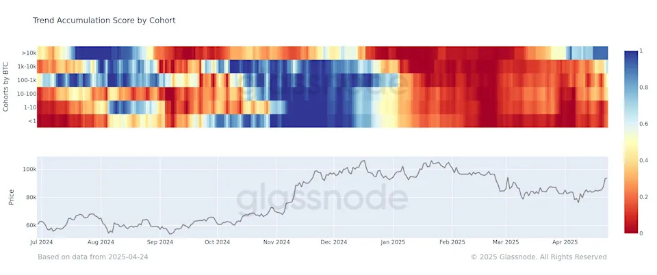 Bitcoin Whales Return in Force, Buy the BTC Price Rally, On-Chain Data Show